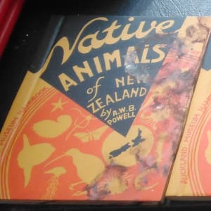 Native Animals Carved Book . 004 by Liz McAuliffe