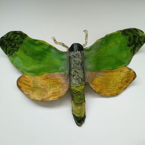 Puriri Moth - Canvas/Wire  ..  (21013) by Liz McAuliffe
