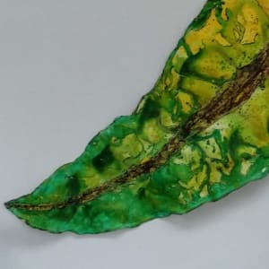 Gondwana Leaf . . (21732) by Liz McAuliffe 