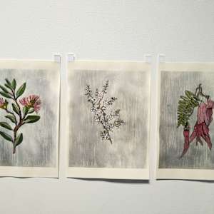 Hand Coloured Prints - set of 3 .. 24212 by Liz McAuliffe