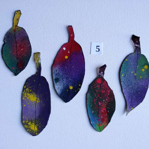 Spray Drift Set 5. .. ( 24148 - 24152) by Liz McAuliffe 