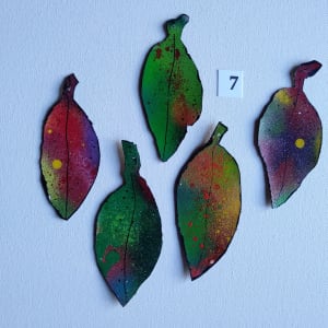 Spray Drift Set 7. .. ( 24118- 24122) by Liz McAuliffe