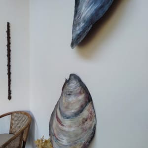 Tuatua and Dosinia Shell Pair  - canvas sculpture  .. (23180) by Liz McAuliffe 