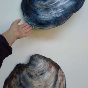 Tuatua and Dosinia Shell Pair  - canvas sculpture  .. (23180) by Liz McAuliffe