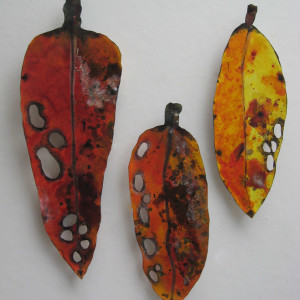 Pohutukawa Leaf . 097 by Liz McAuliffe 