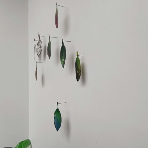 Spray Drift Set 8. .. ( 24063 - 24067) by Liz McAuliffe 