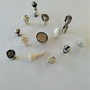 Ceramic Seeds & Pods - Lucky Dip .. (13026) by Liz McAuliffe 