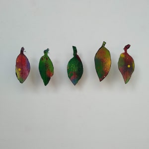 Spray Drift Set 8. .. ( 24063 - 24067) by Liz McAuliffe 
