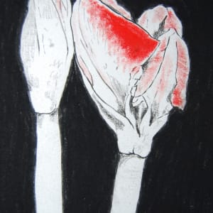 AMARYLLIS #1 by CATHY KLUTHE