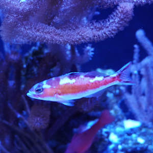 Nihilism of Digital Realms by Michael Hanna