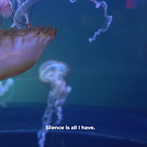 Needless Validation by Michael Hanna 