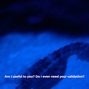 Needless Validation by Michael Hanna