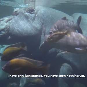 Needless Validation by Michael Hanna 