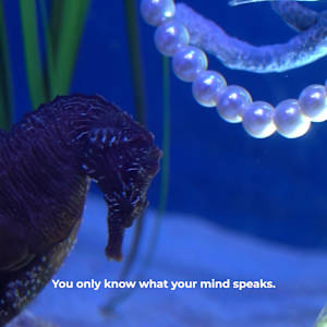 Needless Validation by Michael Hanna 