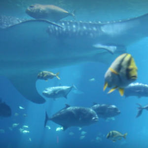 Beasts of the Abyss by Michael Hanna