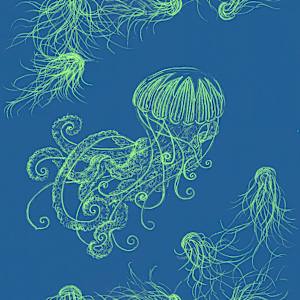Jellyfish swimming by Janet Danforth, Image 9.