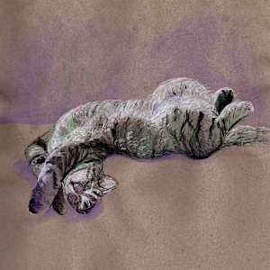 Zelda Showing Her Belly by Janet Danforth, Image 3.