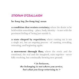 Homoperspectives by Stiofan O'Ceallaigh, Image 2.