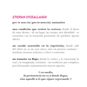 Homoperspectives by Stiofan O'Ceallaigh, Image 3.