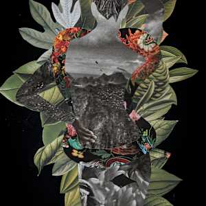 Back by Emily Morgan