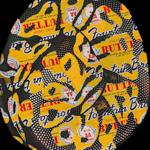 Butter Snake by Emily Morgan