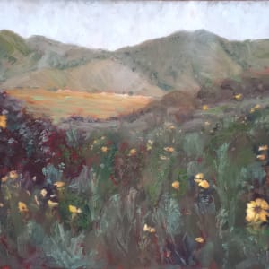 Breakthrough, San Pasqual Valley by Karla Mulry