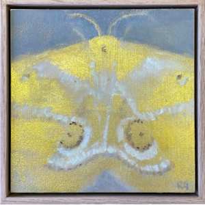 Moth  (framed in oak) by Rebecca Goldberg, Image 1.