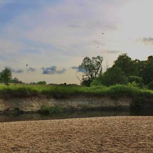 Okehocking Preserve by Cameryn Popiel