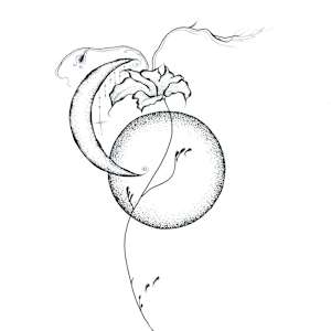 Twilight by Cameryn Popiel