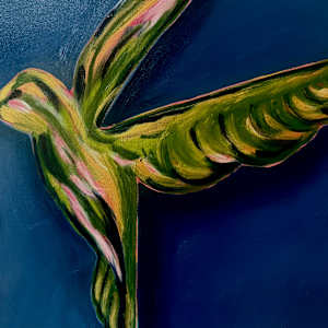 Colibrí by Erin Bowling, Image 6.