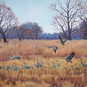 Crane Dance by Debra Joy Groesser