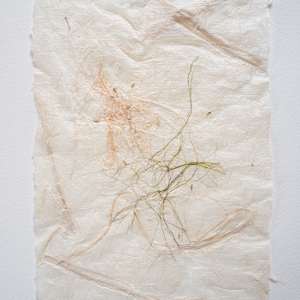 Dandelion 2 by Ruth Gilmour, Image 2.