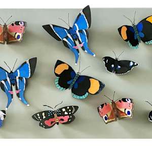 God's Confetti Butterflies by Brenda Bell, Image 5.