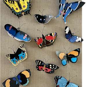 Flying Free by Brenda Bell, Image 19.