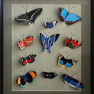 Butterflies in Flight by Brenda Bell, Image 1.