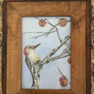 Winter Snack - Sapsucker by Julee Everett  Image: Winter Snack - Sapsucker - Framed