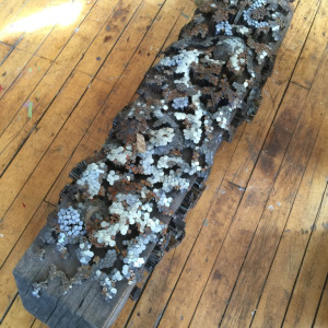 "prayer tree  31" by Dougie Padilla 