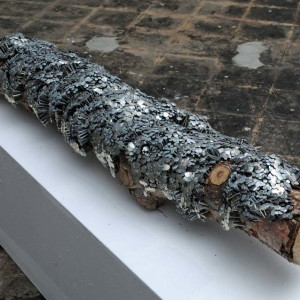 prayer tree 3 by Dougie Padilla 