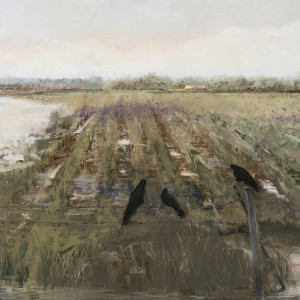 Flooded Field by Donna Lee Nyzio
