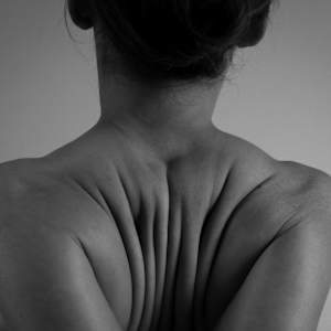 Poetic spine by kerenor movement, Image 6.