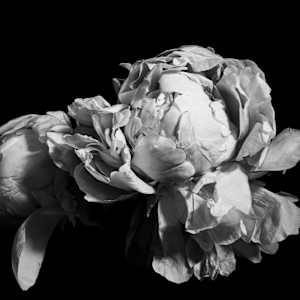My heart by kerenor, Image 1.