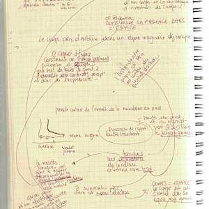 Anatomical notebook by KerenOr, Image 4.