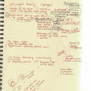 Anatomical notebook by KerenOr, Image 6.