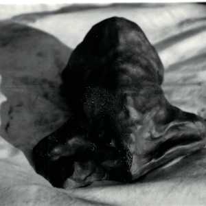 Sculptures 1999 by KerenOr, Image 5.