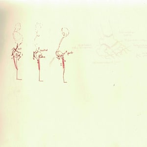 Anatomical notebook by KerenOr, Image 20.