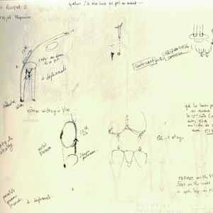 Anatomical notebook by KerenOr, Image 27.