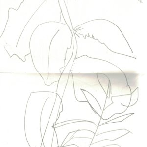 Anatomical studies by KerenOr, Image 6.