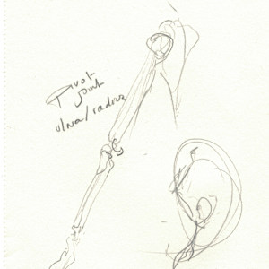 Anatomical studies by KerenOr, Image 9.