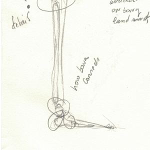 Anatomical studies by KerenOr, Image 11.