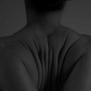 Poetic spine by kerenor movement, Image 7.